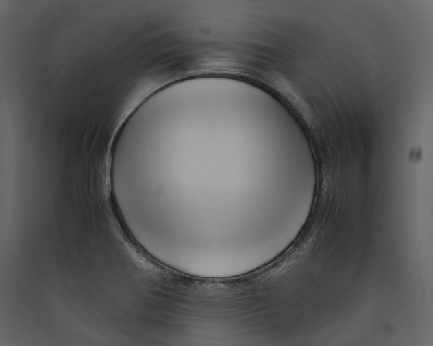 X0000089411370200707131752