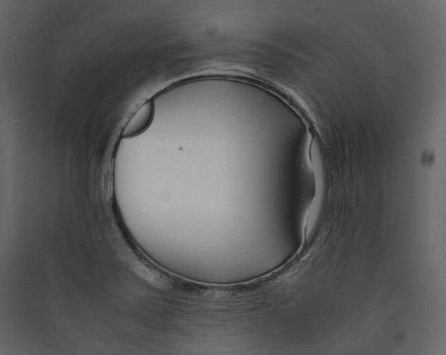 X0000089411371200707131752