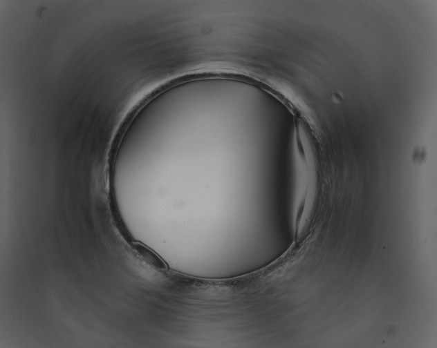 X0000089411372200707131752