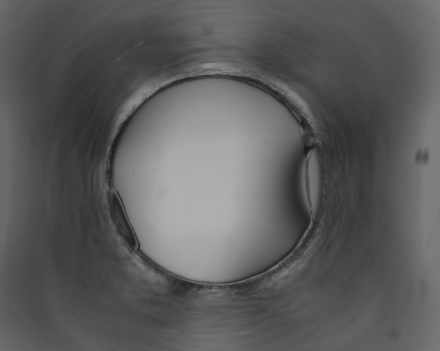 X0000089411373200707131752