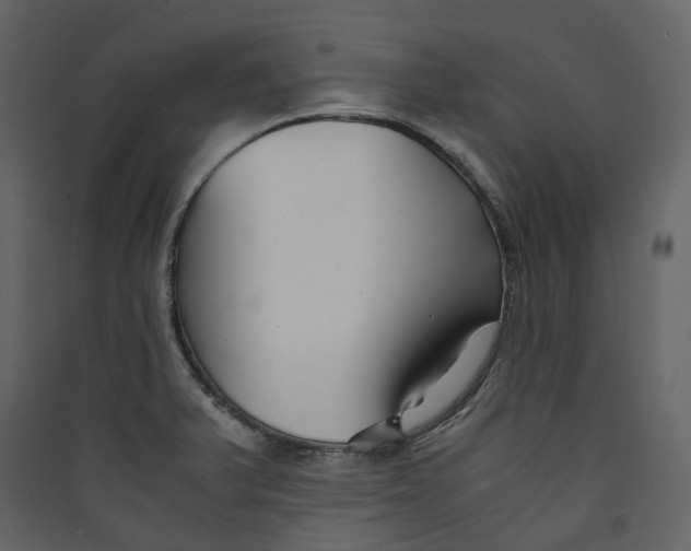 X0000089411375200707131752