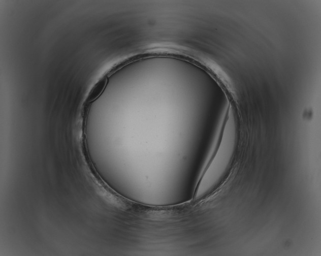 X0000089411376200707131751