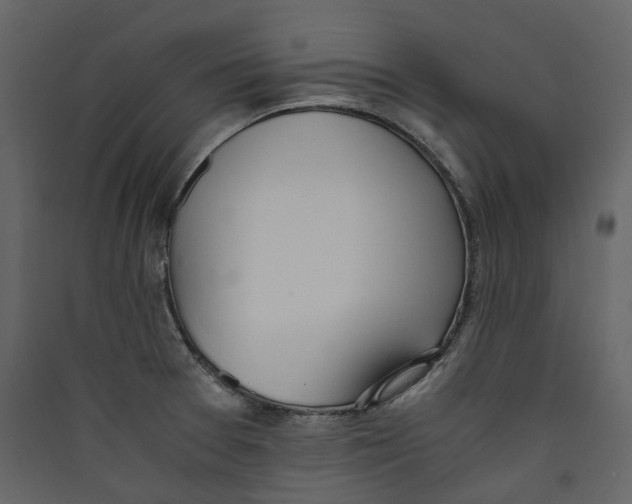 X0000089411377200707131751