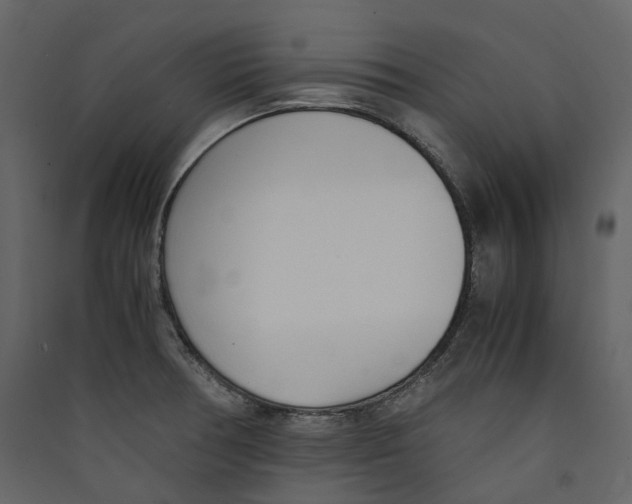X0000089411378200707131751