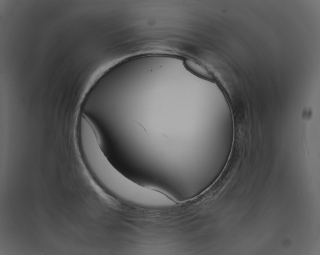 X0000089411379200707131751
