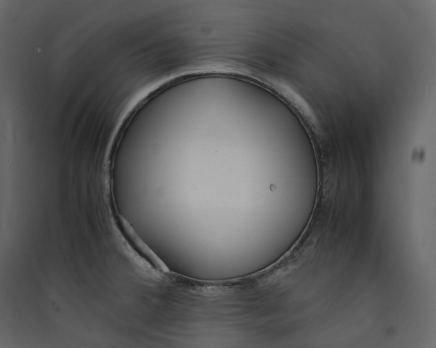 X0000089411380200707131751