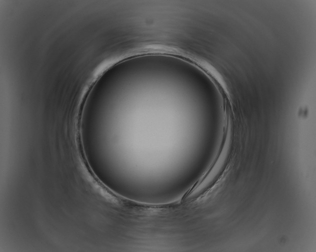 X0000089411381200707131751