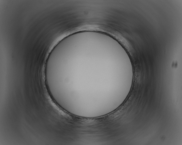 X0000089411382200707131751