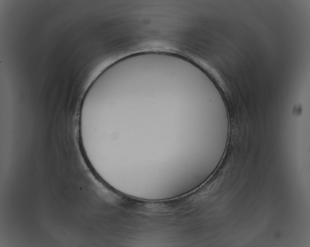 X0000089411383200707131751