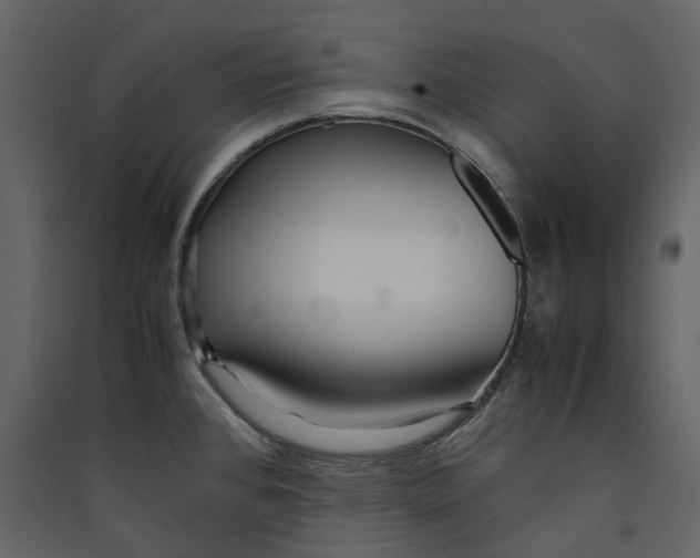 X0000089411384200707131751