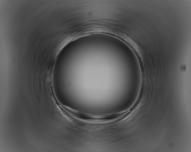 X0000089411385200707131751