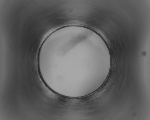 X0000089411387200707131751