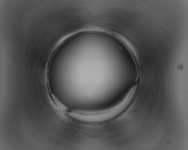 X0000089411388200707131751