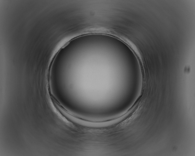 X0000089411389200707131751