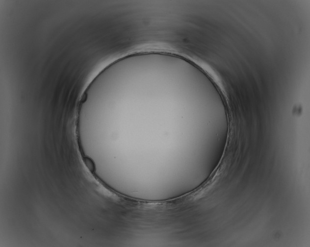 X0000089411390200707131751
