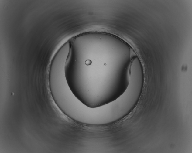 X0000089411392200707131751