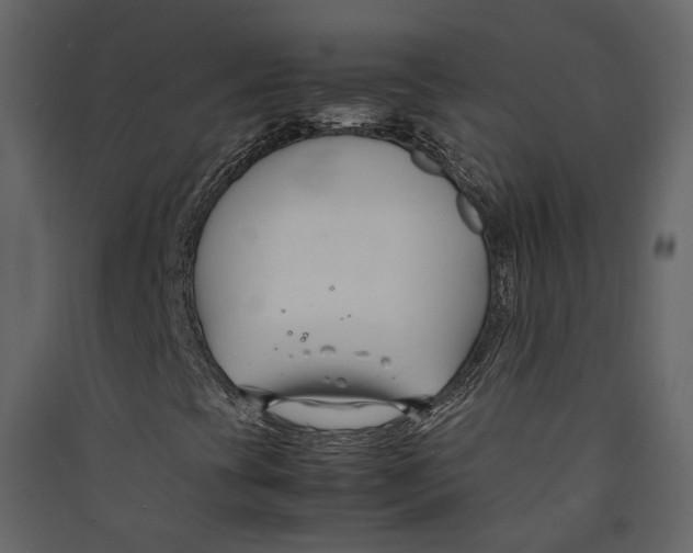 X0000089411393200707131751