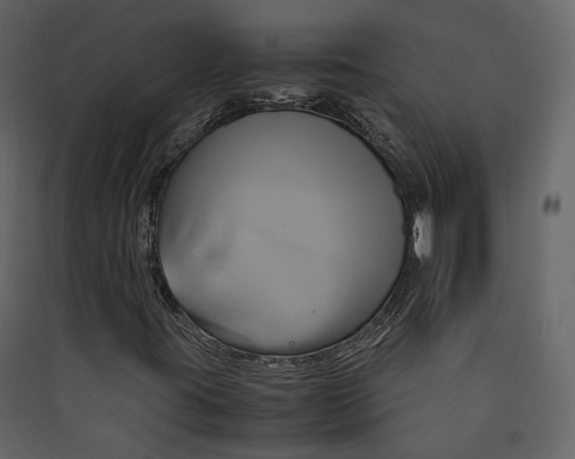 X0000089411395200707131751