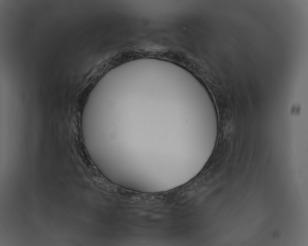 X0000089411397200707131751