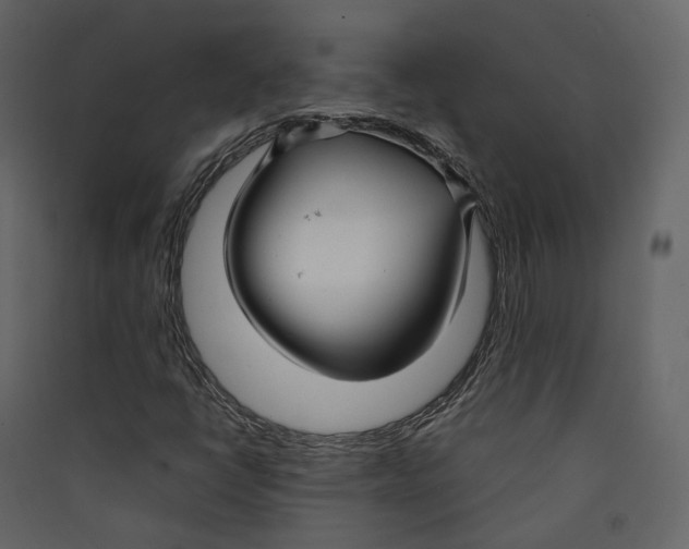 X0000089411398200707131751