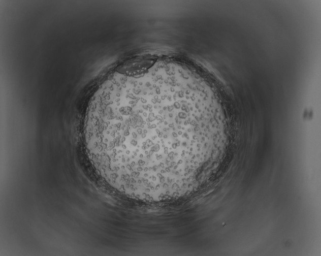 X0000089411399200707131751