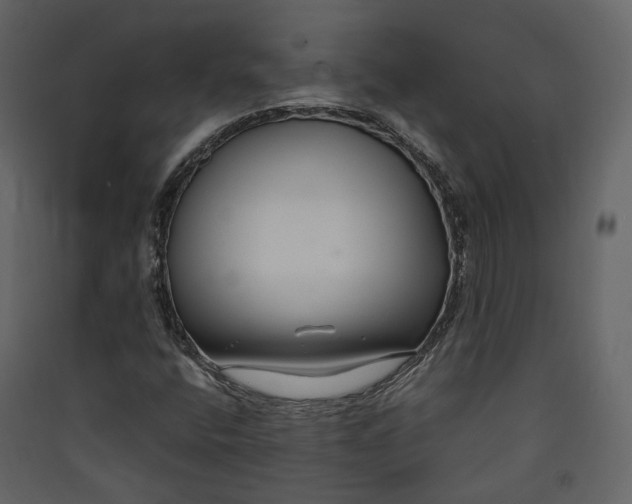 X0000089411400200707131751