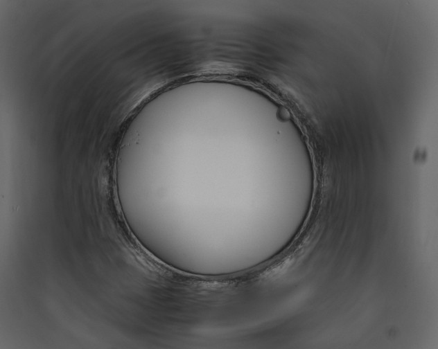 X0000089411401200707131751
