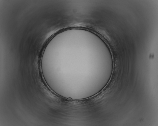 X0000089411404200707131751