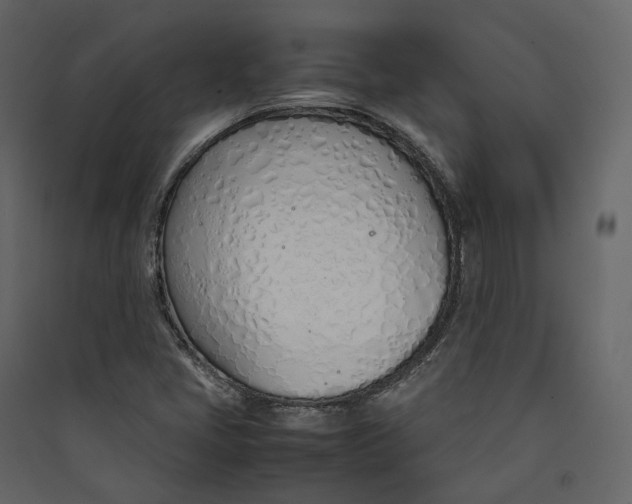 X0000089411405200707131751
