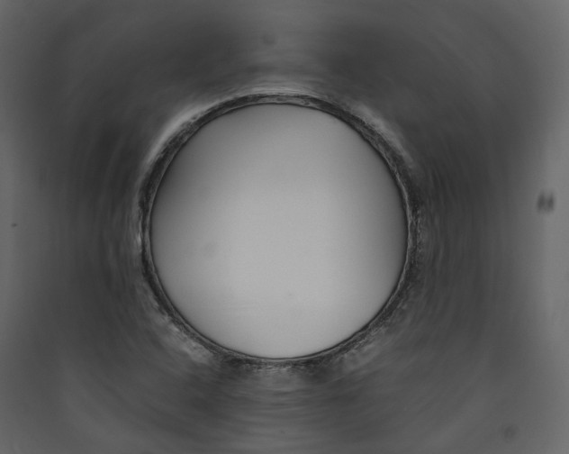 X0000089411408200707131751