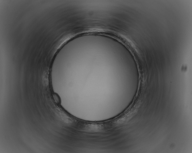 X0000089411409200707131751