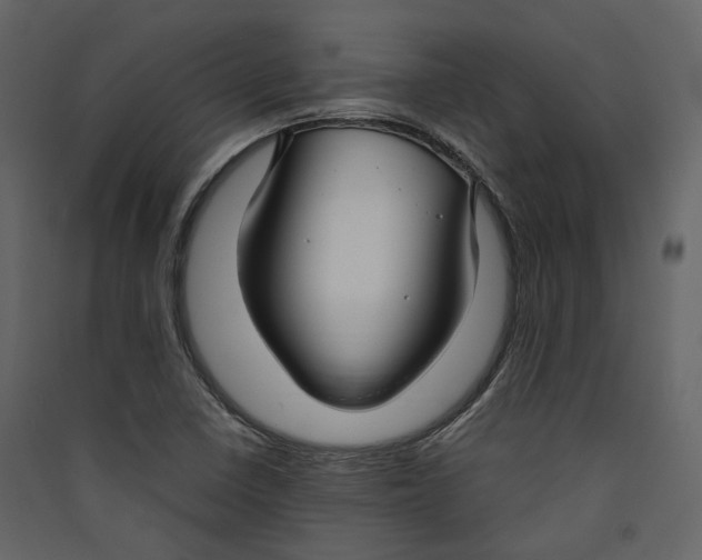 X0000089411410200707131751