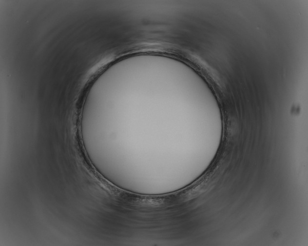 X0000089411411200707131751
