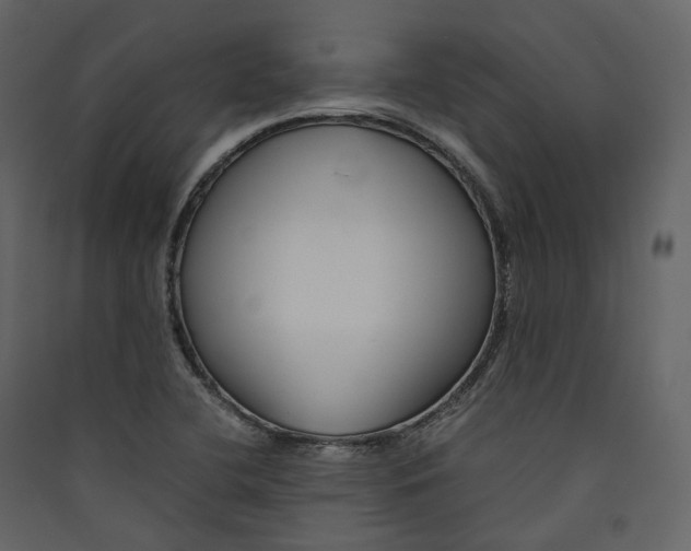 X0000089411412200707131751