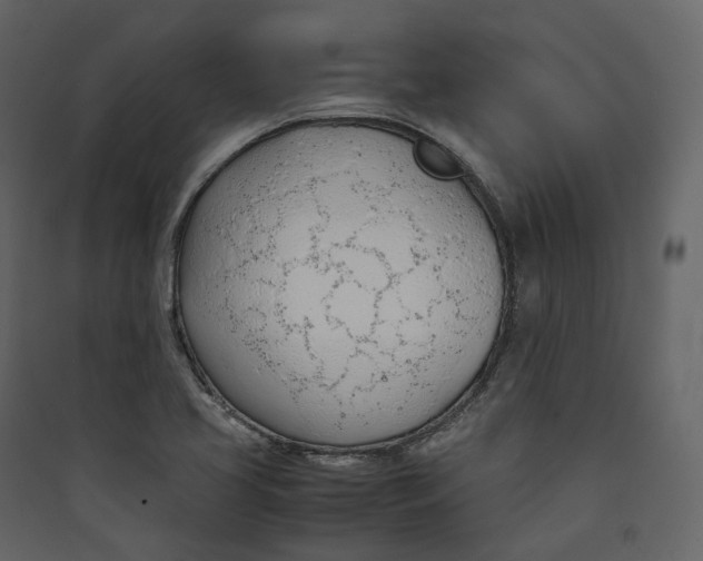 X0000089411413200707131751