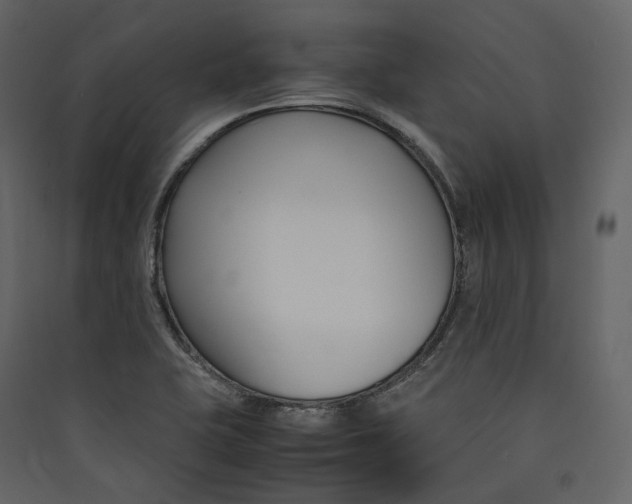 X0000089411415200707131751