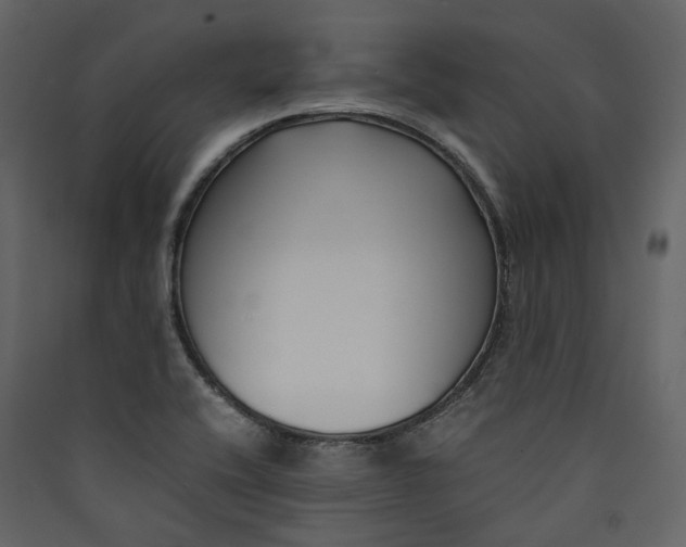 X0000089411416200707131751