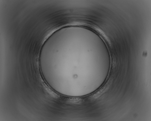 X0000089411417200707131751