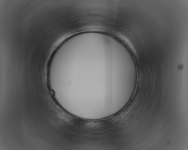 X0000089411419200707131751