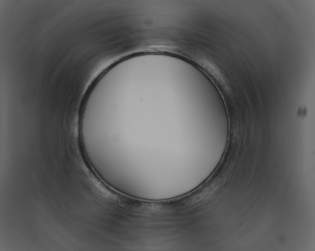 X0000089411420200707131751