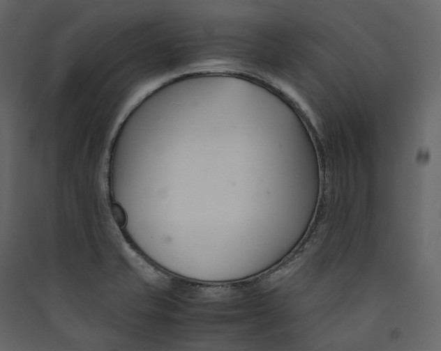 X0000089411421200707131751