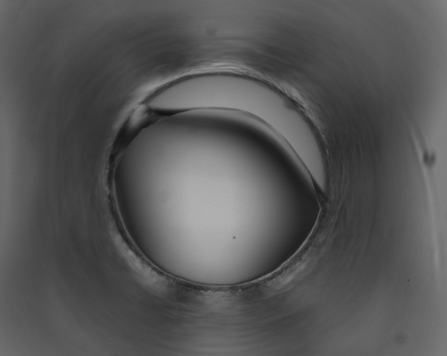 X0000089411422200707131751