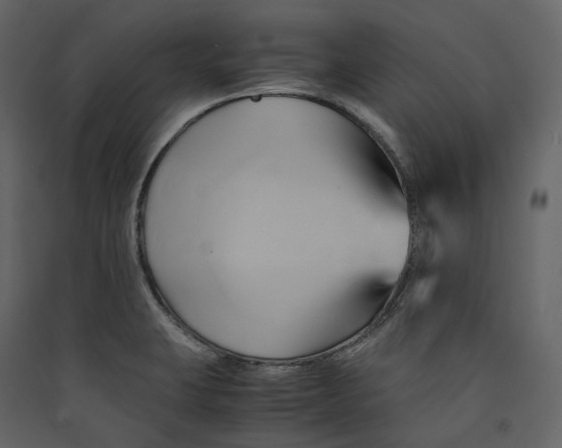 X0000089411423200707131751