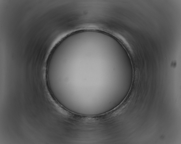 X0000089411424200707131751