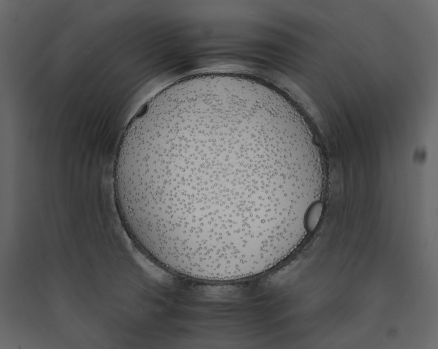 X0000089411425200707131751