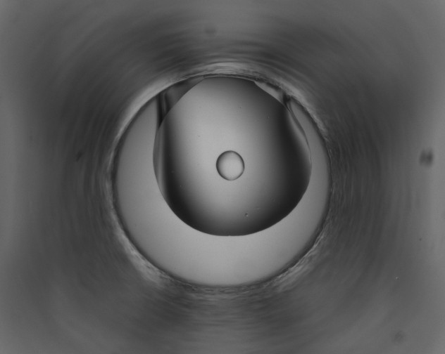 X0000089411426200707131751