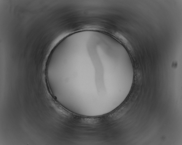 X0000089411427200707131751