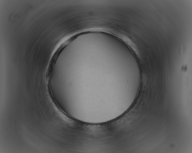 X0000089411428200707131751