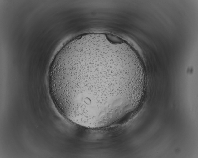 X0000089411429200707131751