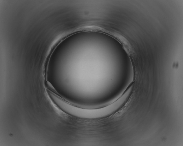 X0000089411430200707131751